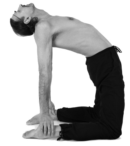 Иллюстрация к книге — Йога 7x7. Суперкурс для начинающих [i_014.jpg]