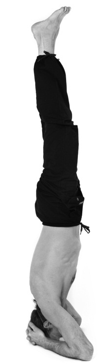 Иллюстрация к книге — Йога 7x7. Суперкурс для начинающих [i_026.jpg]