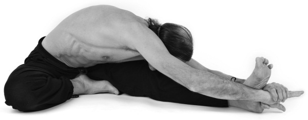 Иллюстрация к книге — Йога 7x7. Суперкурс для начинающих [i_027.jpg]