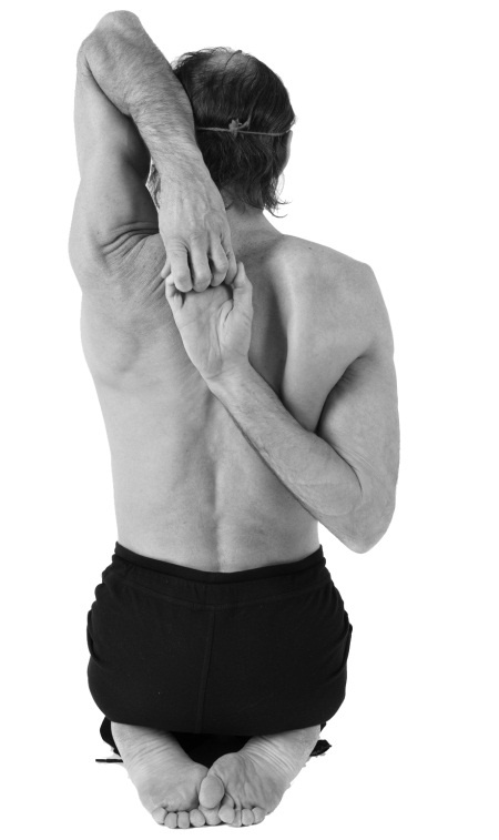 Иллюстрация к книге — Йога 7x7. Суперкурс для начинающих [i_045.jpg]