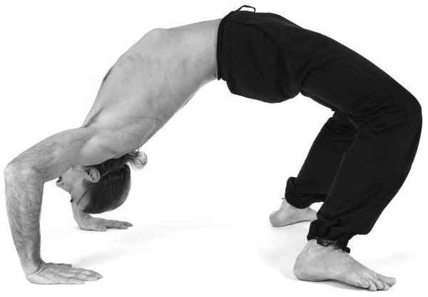 Иллюстрация к книге — Йога 7x7. Суперкурс для начинающих [i_049.jpg]