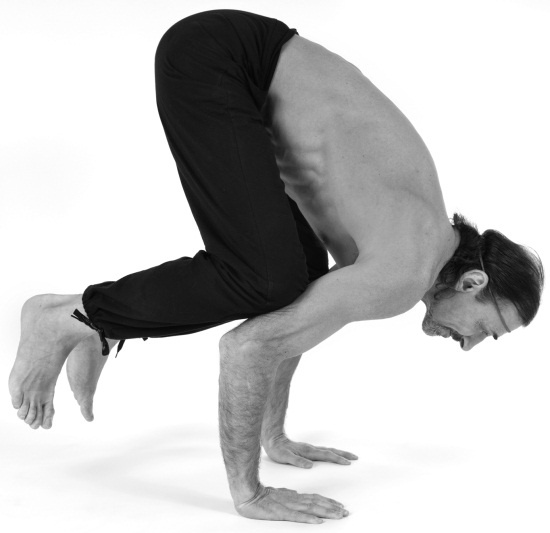 Иллюстрация к книге — Йога 7x7. Суперкурс для начинающих [i_051.jpg]