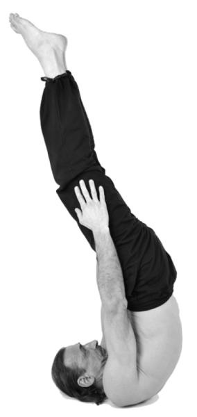 Иллюстрация к книге — Йога для коррекции фигуры [Autogen_eBook_id100.jpg]