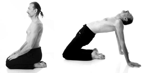 Иллюстрация к книге — Йога для коррекции фигуры [Autogen_eBook_id122.jpg]