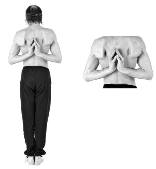 Иллюстрация к книге — Йога для коррекции фигуры [Autogen_eBook_id169.jpg]