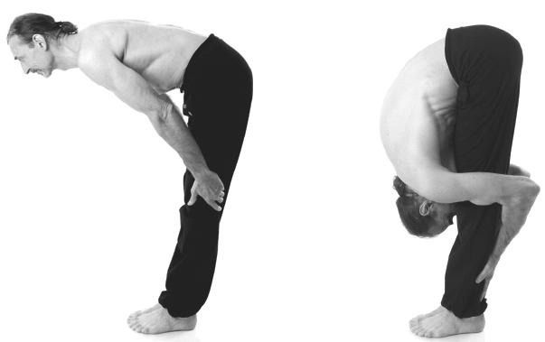 Иллюстрация к книге — Йога для коррекции фигуры [Autogen_eBook_id19.jpg]