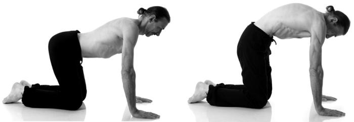 Иллюстрация к книге — Йога для коррекции фигуры [Autogen_eBook_id191.jpg]