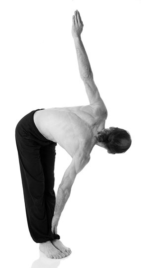 Иллюстрация к книге — Йога за 29 дней [Autogen_eBook_id111.jpg]