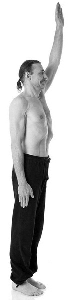 Иллюстрация к книге — Йога за 29 дней [Autogen_eBook_id116.jpg]