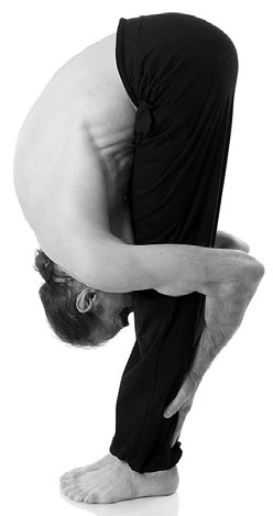 Иллюстрация к книге — Йога за 29 дней [Autogen_eBook_id139.jpg]