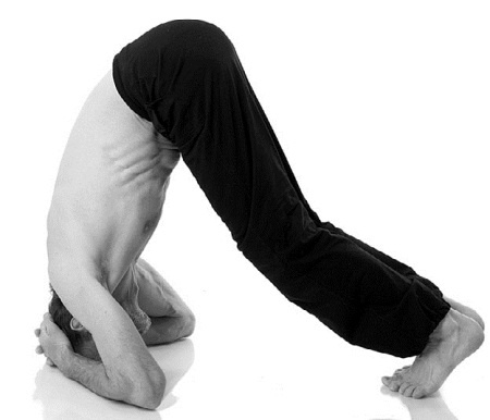 Иллюстрация к книге — Йога за 29 дней [Autogen_eBook_id155.jpg]