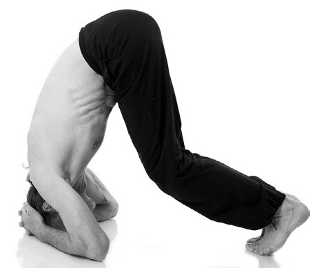 Иллюстрация к книге — Йога за 29 дней [Autogen_eBook_id168.jpg]