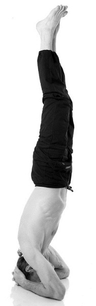 Иллюстрация к книге — Йога за 29 дней [Autogen_eBook_id177.jpg]