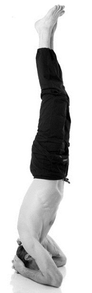 Иллюстрация к книге — Йога за 29 дней [Autogen_eBook_id188.jpg]