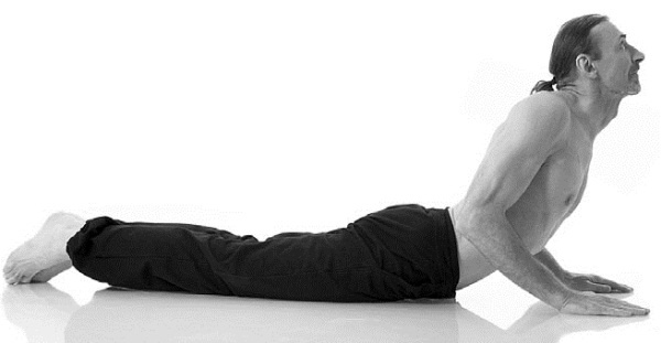 Иллюстрация к книге — Йога за 29 дней [Autogen_eBook_id19.jpg]