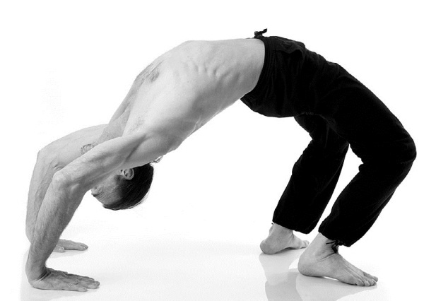 Иллюстрация к книге — Йога за 29 дней [Autogen_eBook_id195.jpg]