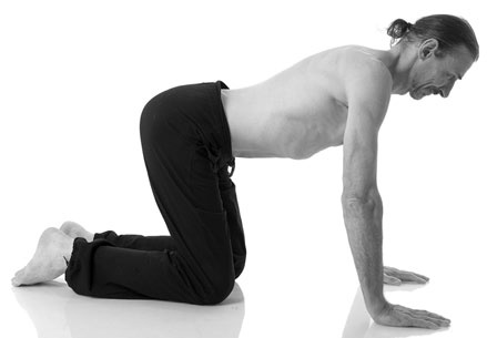 Иллюстрация к книге — Йога за 29 дней [Autogen_eBook_id225.jpg]