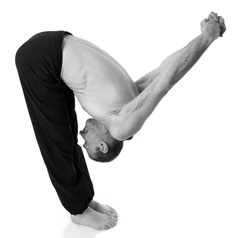 Иллюстрация к книге — Йога за 29 дней [Autogen_eBook_id40.jpg]