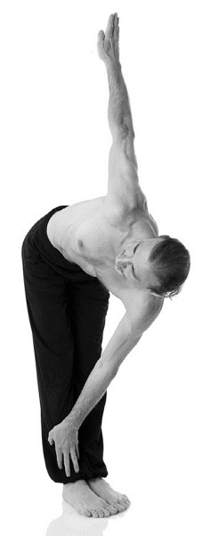 Иллюстрация к книге — Йога за 29 дней [Autogen_eBook_id98.jpg]