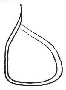 Иллюстрация к книге — Йога для детей. 100 лучших упражнений для укрепления здоровья [Autogen_eBook_id158.jpg]