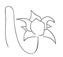 Иллюстрация к книге — Йога для детей. 100 лучших упражнений для укрепления здоровья [Autogen_eBook_id57.jpg]