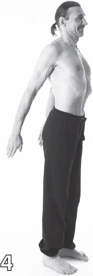 Иллюстрация к книге — Острое зрение – острый ум! Уникальные восточные методики улучшения зрения и развития мозга [_15.jpg]