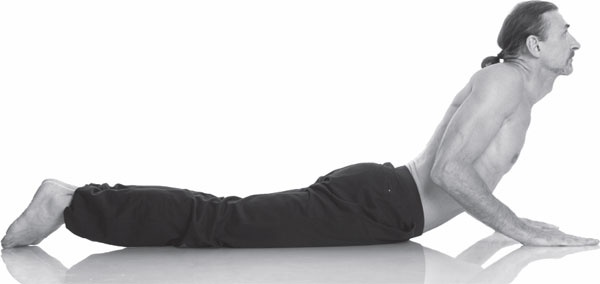 Иллюстрация к книге — Острое зрение – острый ум! Уникальные восточные методики улучшения зрения и развития мозга [_23.jpg]