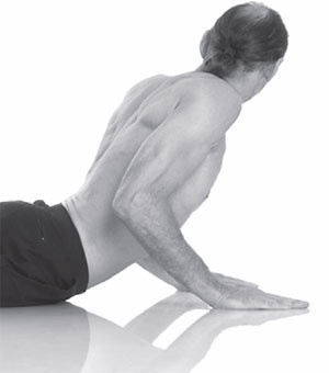 Иллюстрация к книге — Острое зрение – острый ум! Уникальные восточные методики улучшения зрения и развития мозга [_25.jpg]