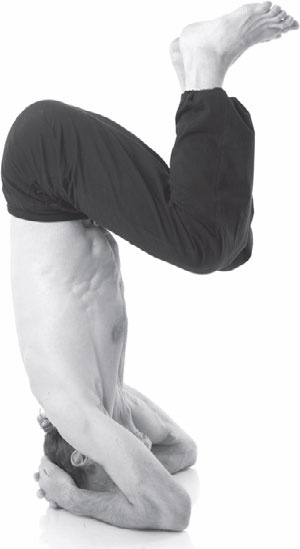 Иллюстрация к книге — Острое зрение – острый ум! Уникальные восточные методики улучшения зрения и развития мозга [_36.jpg]