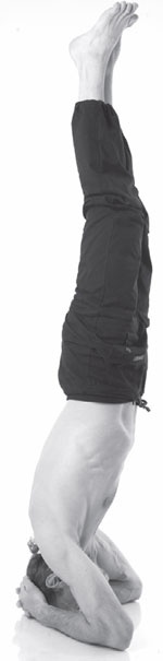 Иллюстрация к книге — Острое зрение – острый ум! Уникальные восточные методики улучшения зрения и развития мозга [_37.jpg]