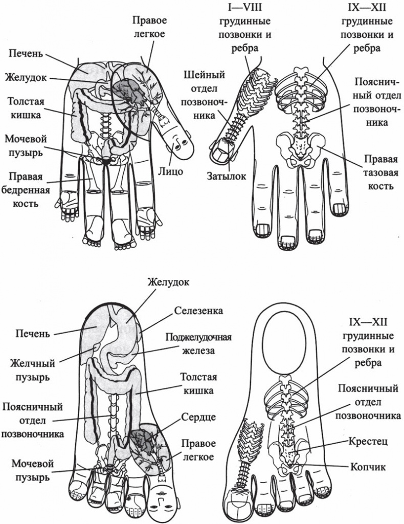 Иллюстрация к книге — Острое зрение – острый ум! Уникальные восточные методики улучшения зрения и развития мозга [_92.jpg]