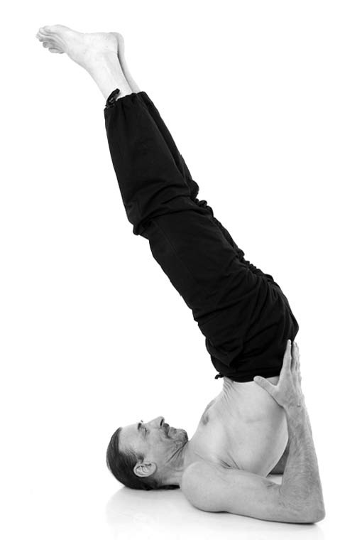 Иллюстрация к книге — Йога. Лучшие упражнения для каждого лунного дня. Сила Луны для здоровья и удачи [i_060.jpg]