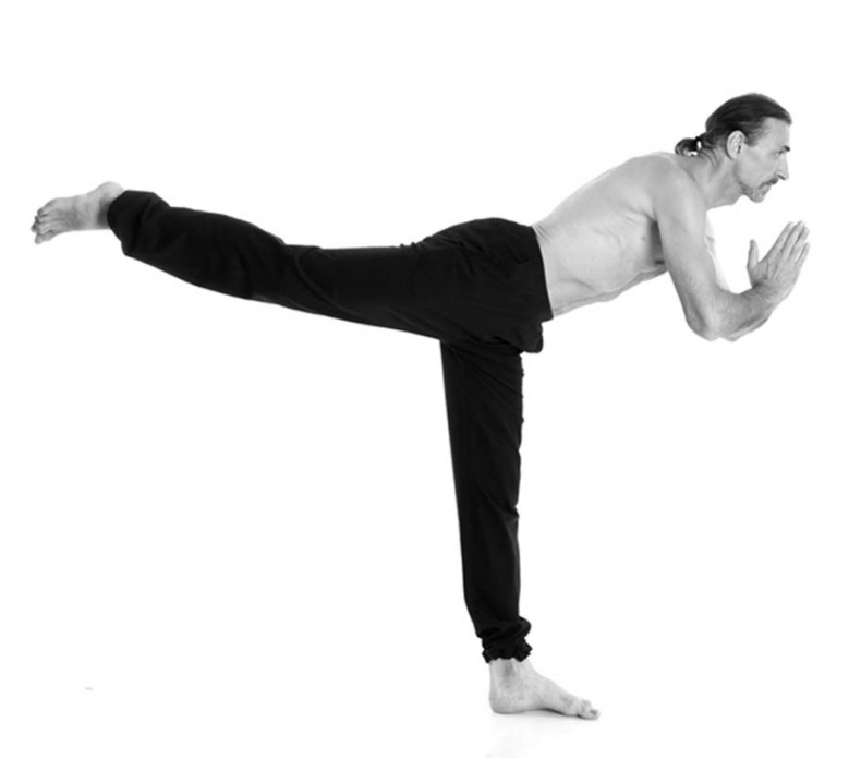 Иллюстрация к книге — Йога. Лучшие упражнения для каждого лунного дня. Сила Луны для здоровья и удачи [i_070.jpg]