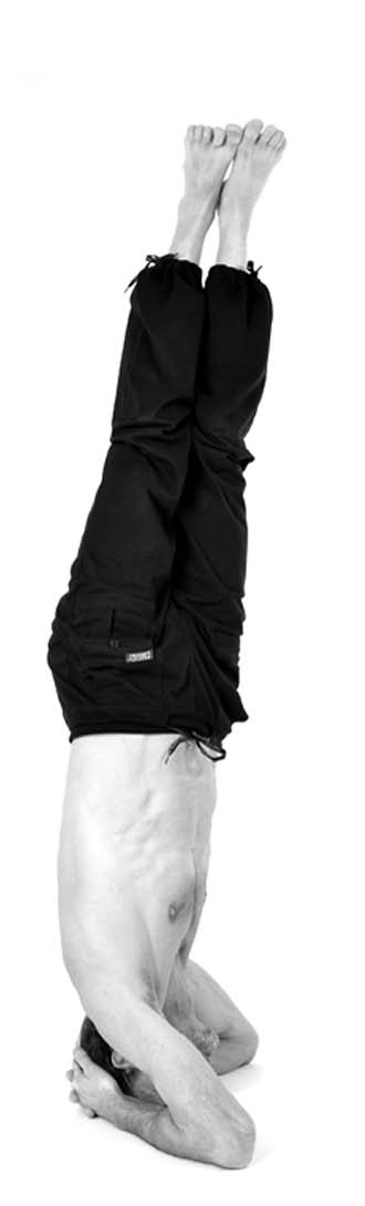 Иллюстрация к книге — Йога. Лучшие упражнения для каждого лунного дня. Сила Луны для здоровья и удачи [i_080.jpg]