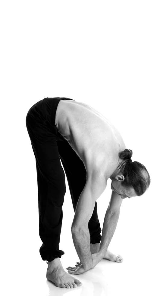 Иллюстрация к книге — Йога. Лучшие упражнения для каждого лунного дня. Сила Луны для здоровья и удачи [i_097.jpg]