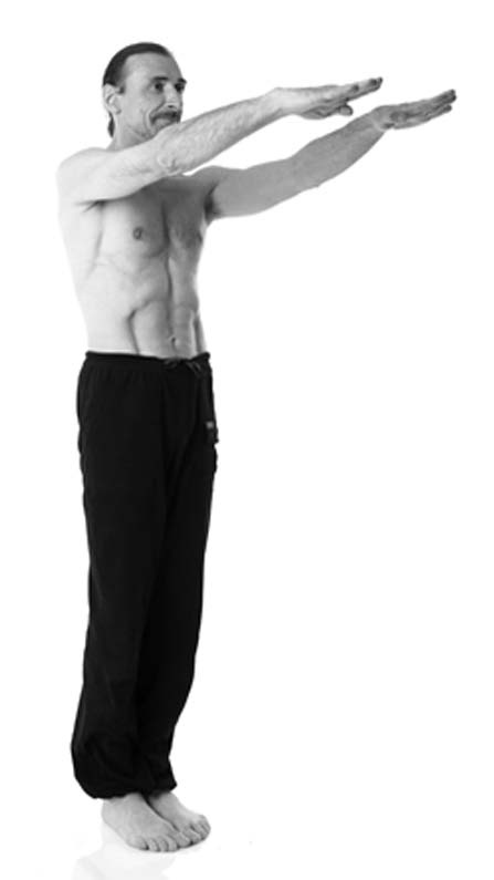 Иллюстрация к книге — Йога. Лучшие упражнения для каждого лунного дня. Сила Луны для здоровья и удачи [i_105.jpg]