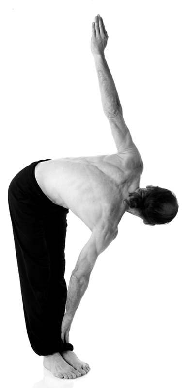 Иллюстрация к книге — Йога. Лучшие упражнения для каждого лунного дня. Сила Луны для здоровья и удачи [i_109.jpg]