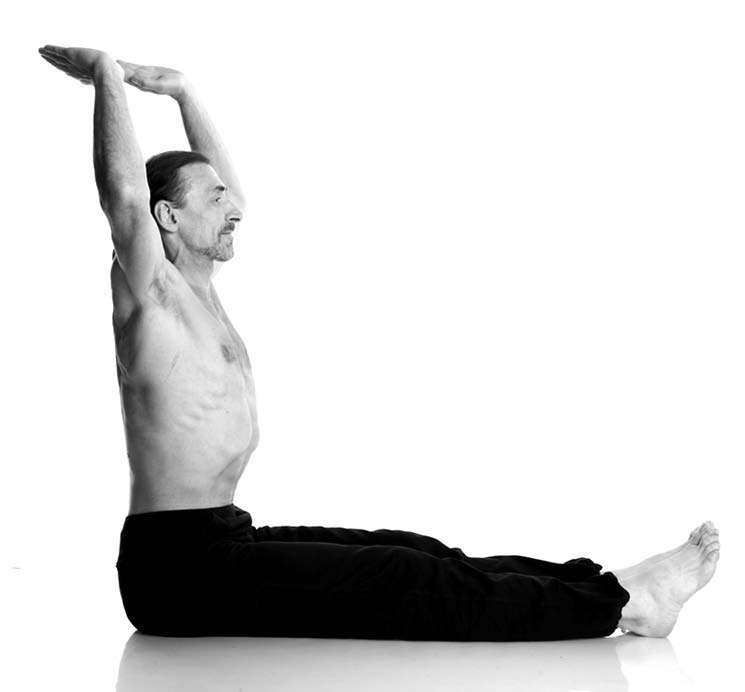 Иллюстрация к книге — Йога. Лучшие упражнения для каждого лунного дня. Сила Луны для здоровья и удачи [i_112.jpg]