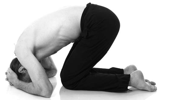 Иллюстрация к книге — Йога. Лучшие упражнения для каждого лунного дня. Сила Луны для здоровья и удачи [i_120.jpg]