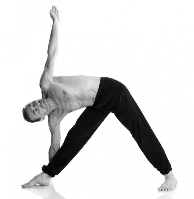 Иллюстрация к книге — Йога. Лучшие упражнения для каждого лунного дня. Сила Луны для здоровья и удачи [i_133.jpg]