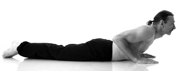 Иллюстрация к книге — Йога. Лучшие упражнения для каждого лунного дня. Сила Луны для здоровья и удачи [i_140.jpg]