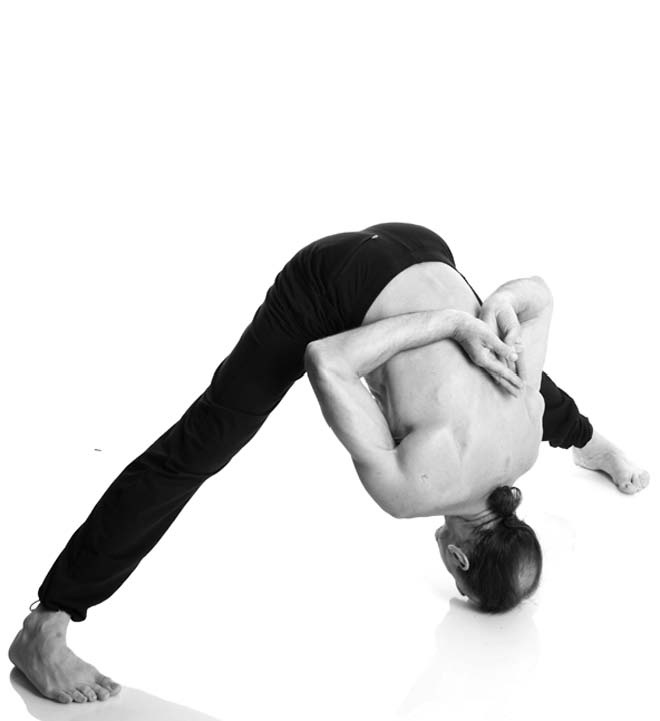 Иллюстрация к книге — Йога. Лучшие упражнения для каждого лунного дня. Сила Луны для здоровья и удачи [i_145.jpg]