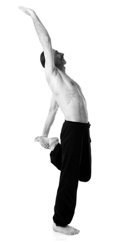 Иллюстрация к книге — Йога. Лучшие упражнения для каждого лунного дня. Сила Луны для здоровья и удачи [i_146.jpg]