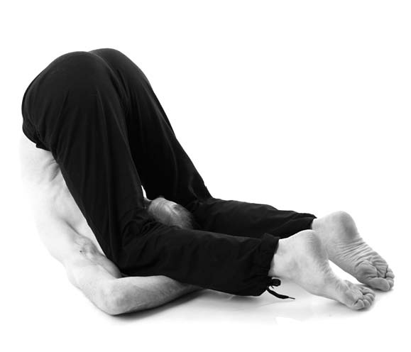 Иллюстрация к книге — Йога. Лучшие упражнения для каждого лунного дня. Сила Луны для здоровья и удачи [i_149.jpg]