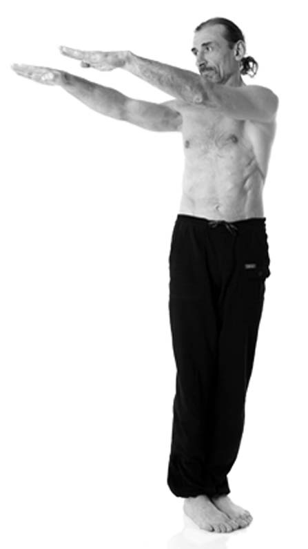 Иллюстрация к книге — Йога. Лучшие упражнения для каждого лунного дня. Сила Луны для здоровья и удачи [i_160.jpg]