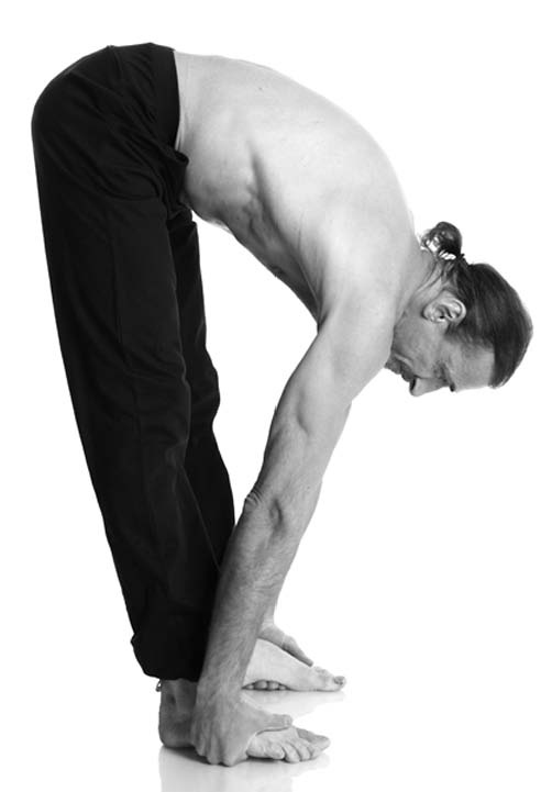 Иллюстрация к книге — Йога. Лучшие упражнения для каждого лунного дня. Сила Луны для здоровья и удачи [i_172.jpg]