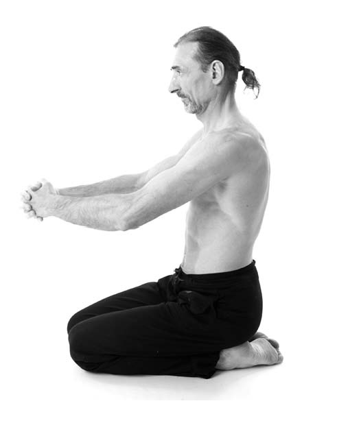 Иллюстрация к книге — Йога. Лучшие упражнения для каждого лунного дня. Сила Луны для здоровья и удачи [i_206.jpg]