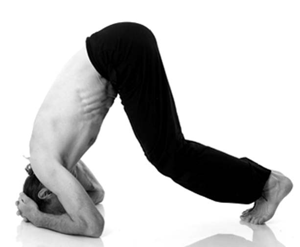 Иллюстрация к книге — Йога. Лучшие упражнения для каждого лунного дня. Сила Луны для здоровья и удачи [i_209.jpg]