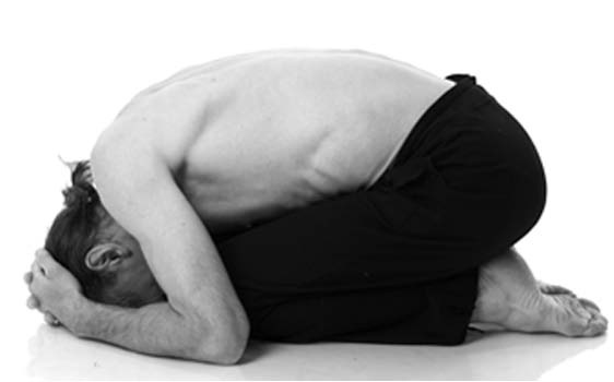 Иллюстрация к книге — Йога. Лучшие упражнения для каждого лунного дня. Сила Луны для здоровья и удачи [i_210.jpg]