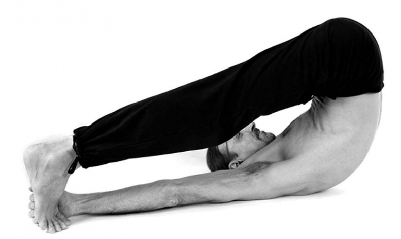 Иллюстрация к книге — Йога. Лучшие упражнения для каждого лунного дня. Сила Луны для здоровья и удачи [i_214.jpg]